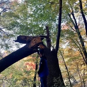 Meet your Posher, Joe